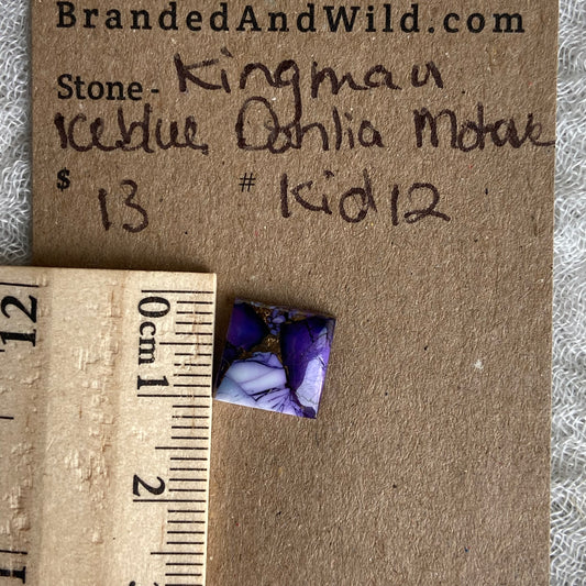 Kingman Ice Blue Dahlia Mohave - KID12