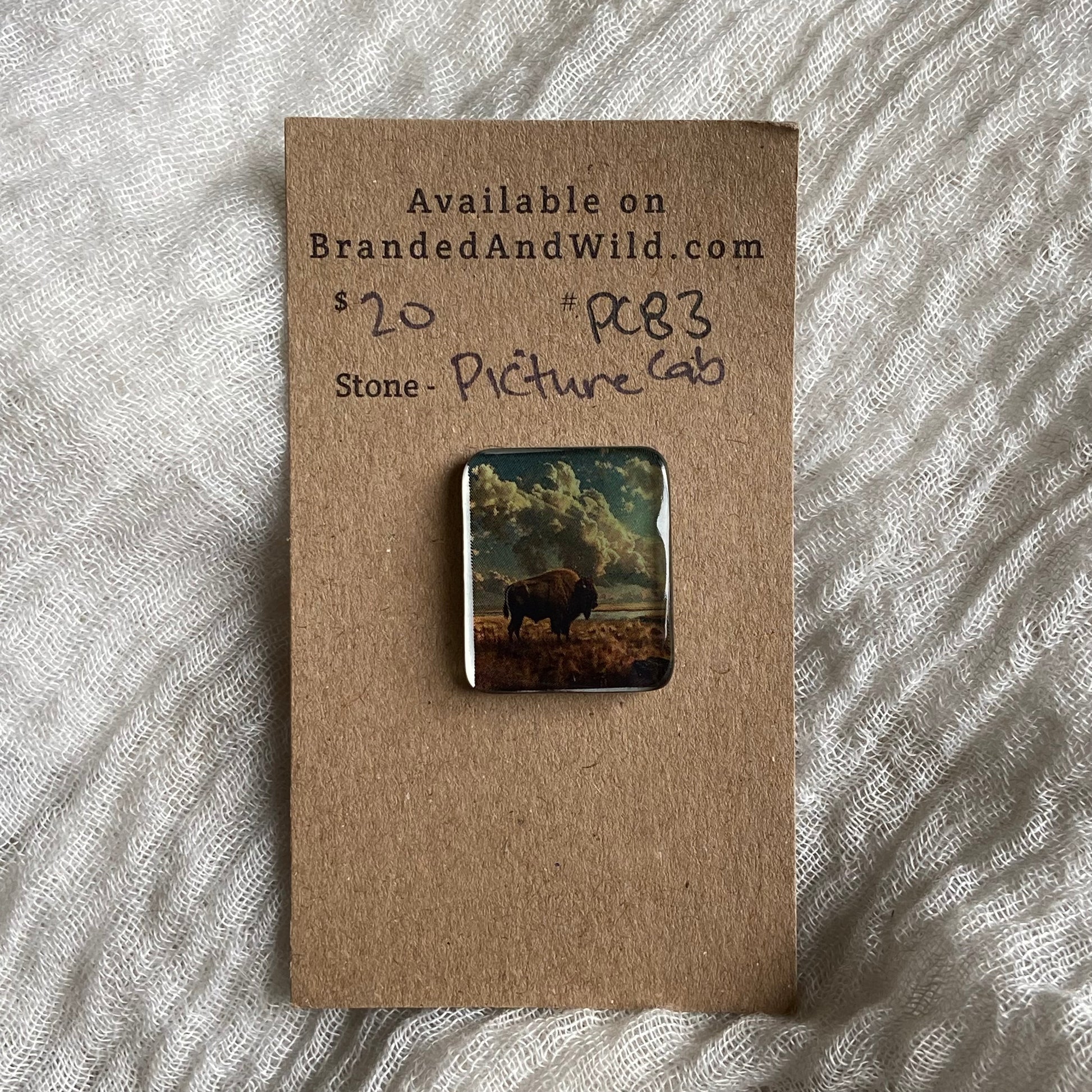 Picture Cabochon - Cabochon - PC83 6825C6C0-9165-4325-BF55-330B53A39554 Brandedandwild.com