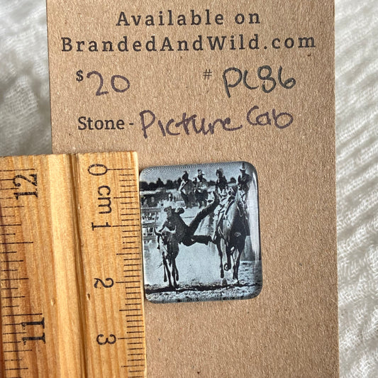 Picture Cabochon - Cabochon - PC86 68431372-B136-4804-8529-1D9475425348 Brandedandwild.com