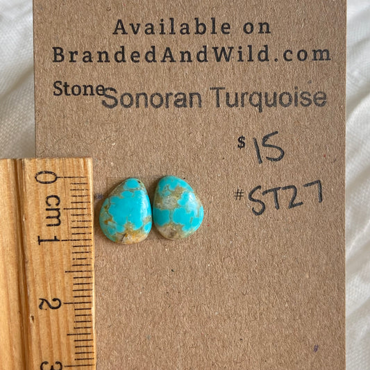 Sonoran Turquoise Cabochon - ST27 6843F520-3E28-4021-ABD6-F95D17A097F4 Brandedandwild.com