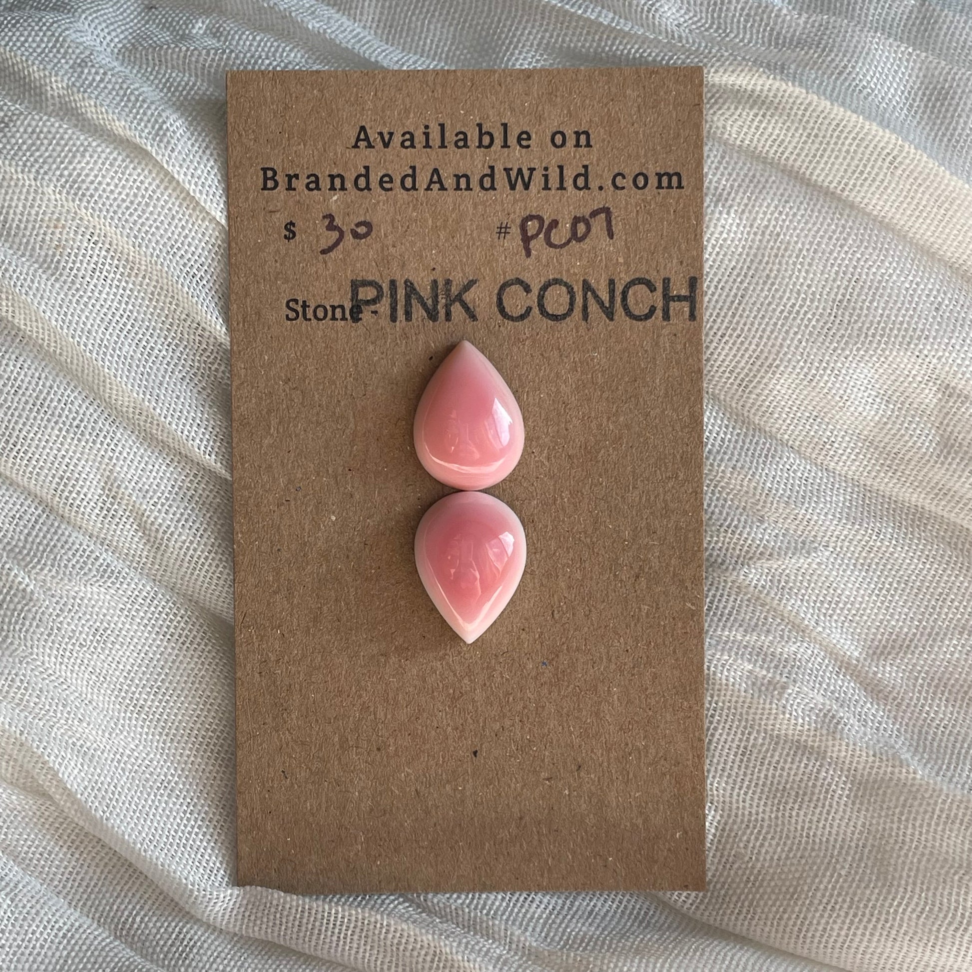 Pink Conch Cabochon - PC07 68787847-155D-4FC3-819D-92E4CBDAE9EF Brandedandwild.com