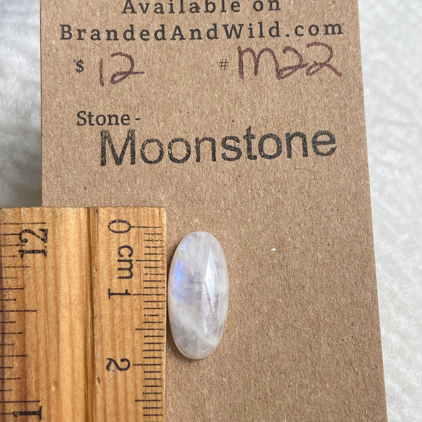 Moonstone Cabochon - M22