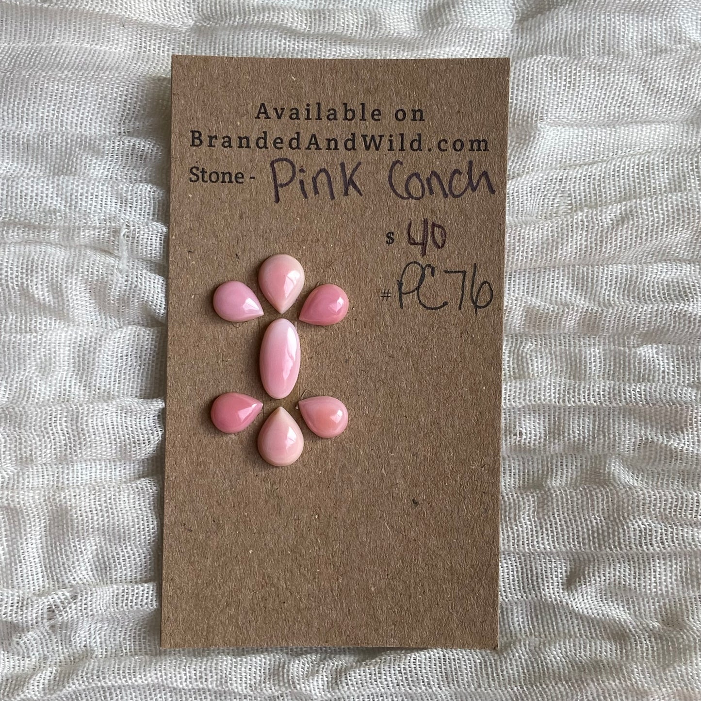Pink Conch Cabochon - PC40 68AC3581-43B8-479D-84D0-21FBC968FD9D Brandedandwild.com