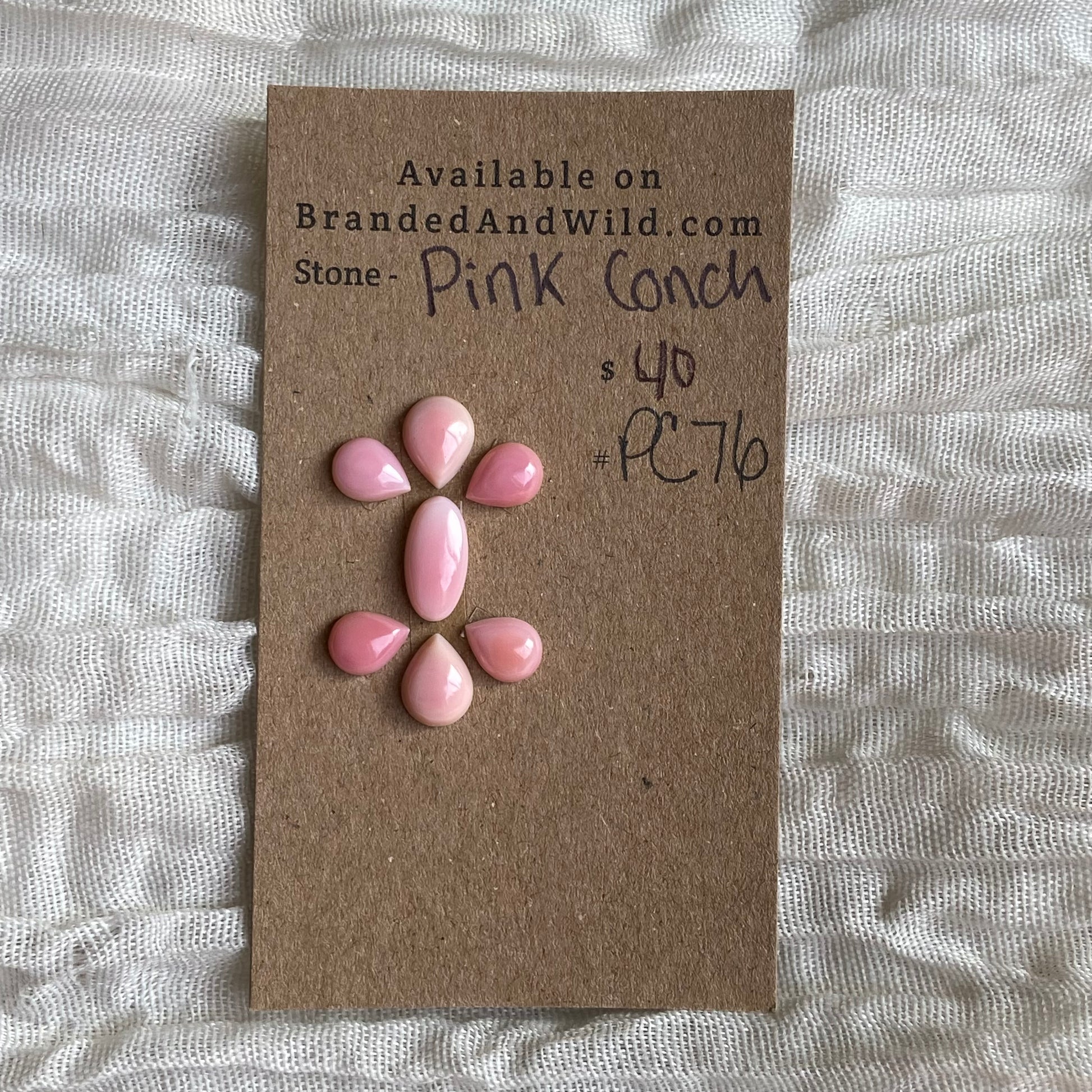 Pink Conch Cabochon - PC40 68AC3581-43B8-479D-84D0-21FBC968FD9D Brandedandwild.com