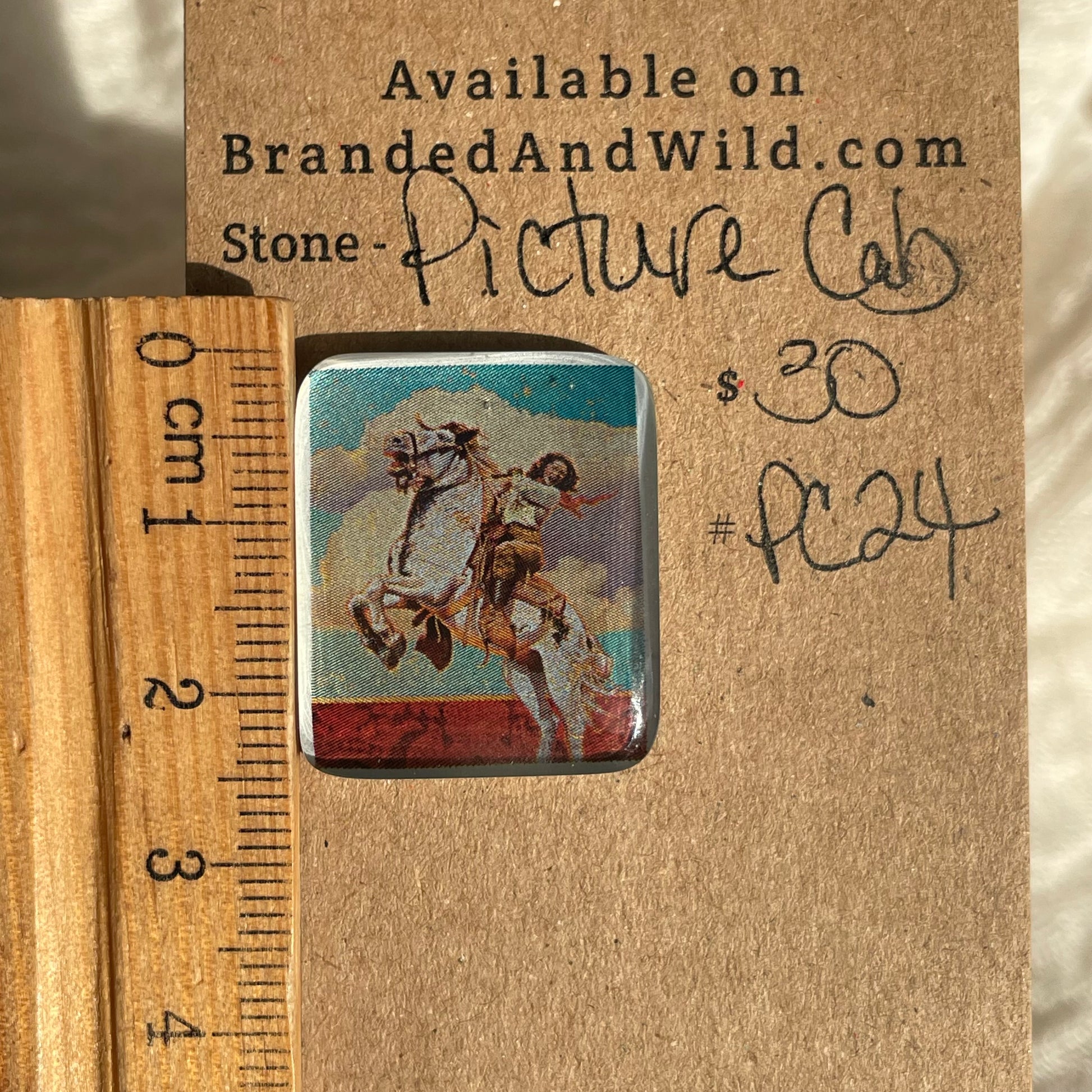 Picture Cabochon - Cabochon - PC24 68B27993-125A-4947-A863-40D62E7FDE54 Brandedandwild.com