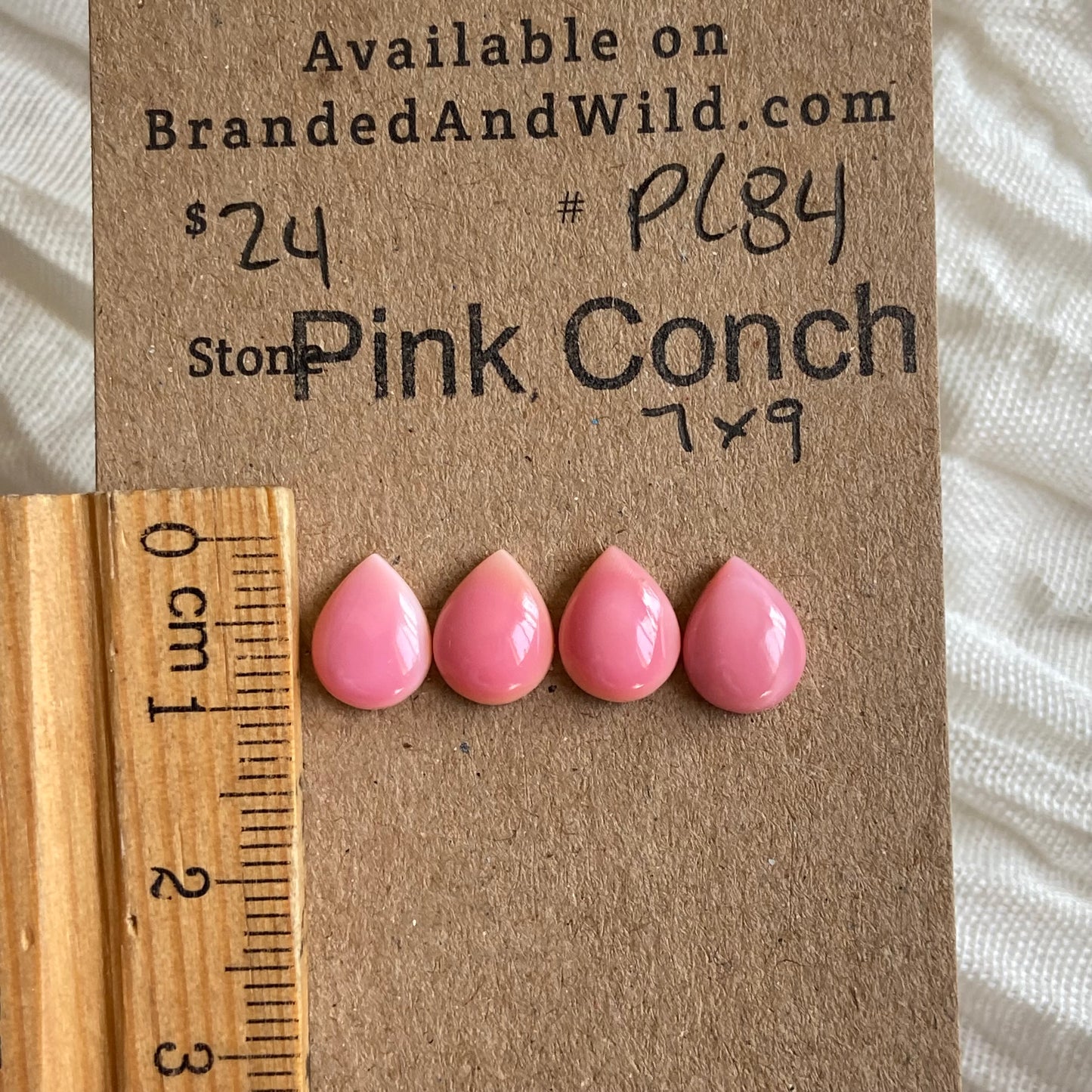Pink Conch Cabochon - PC84