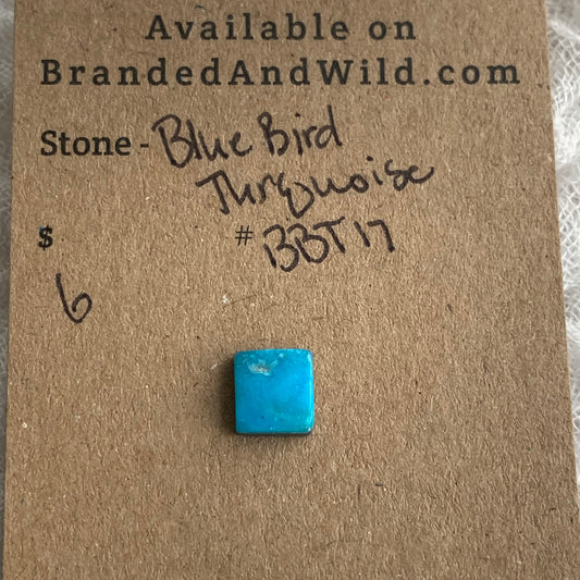 Blue Bird Turquoise Cabochon - BBT17