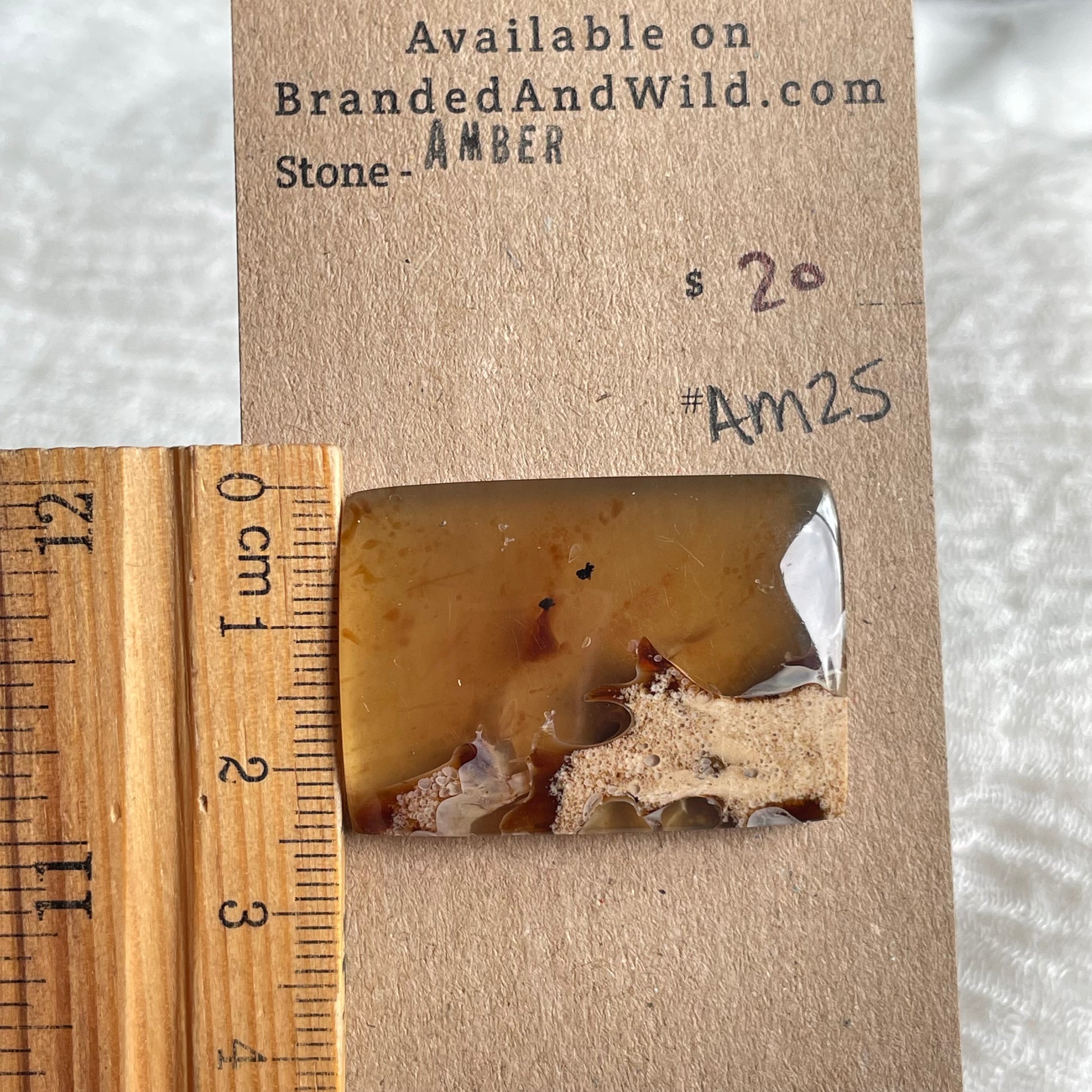 Amber Cabochon AM25 68FE8DA8-6B3A-44EA-B6EB-D824BF73CF74 Brandedandwild.com