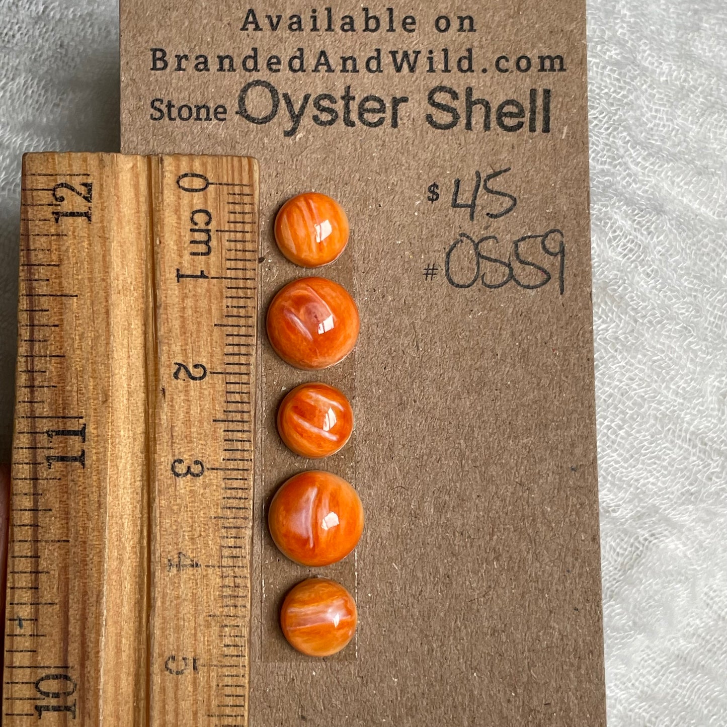 Oyster Shell Cabochon - OS59