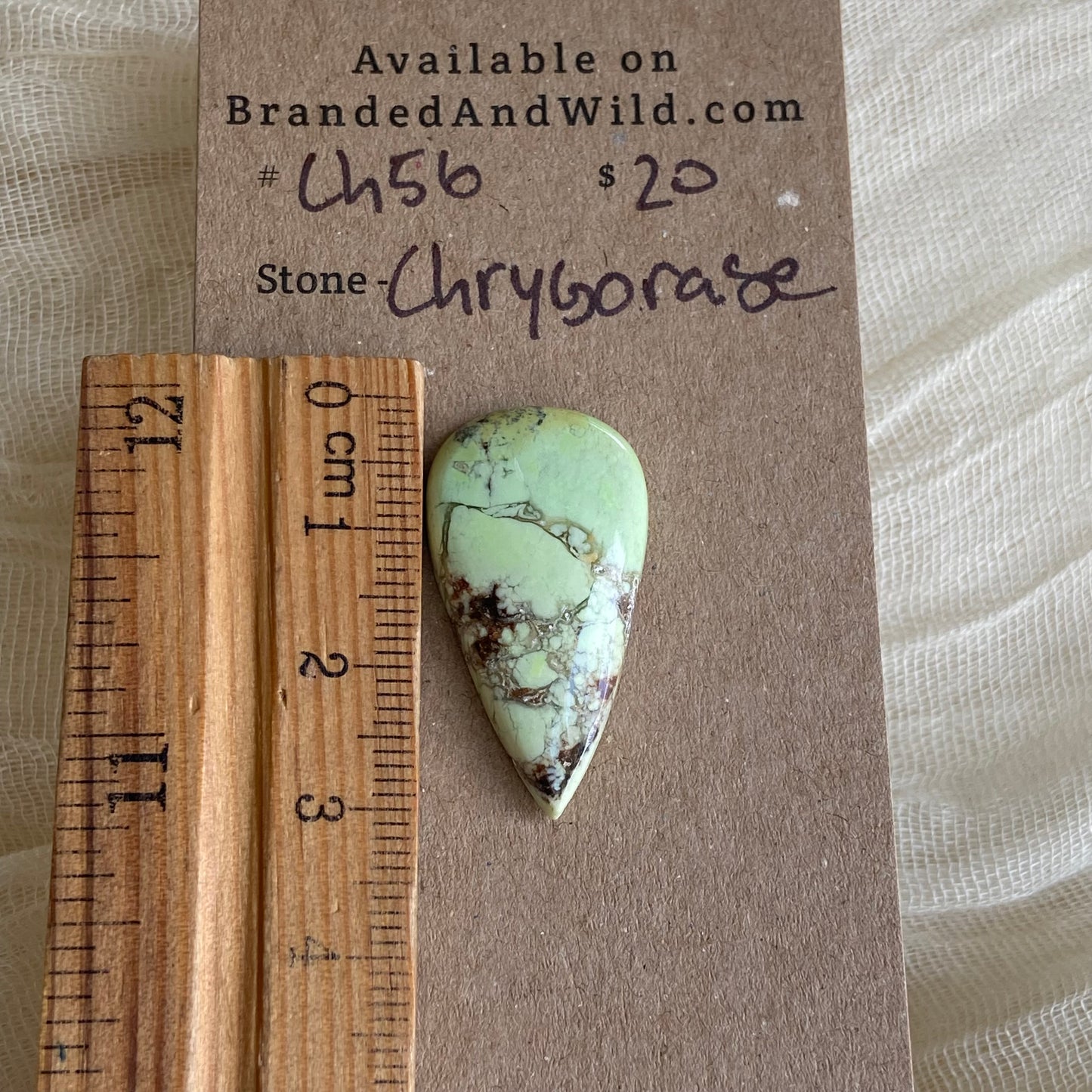 Chrysoprase Cabochon - Ch56