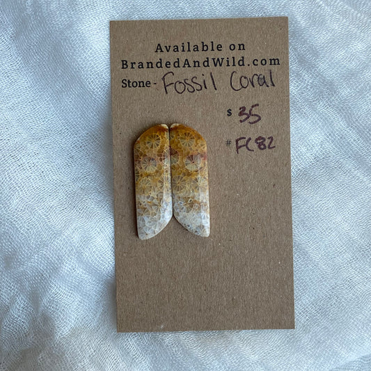 Fossil Coral Cabochon - FC82