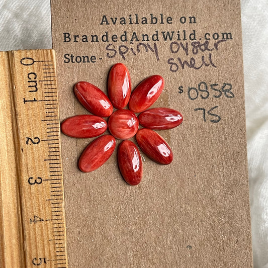 Spiny Oyster Shell Cabochon - OS58 69424B7F-025E-45A6-80D7-6CCDE00D03B6 Brandedandwild.com