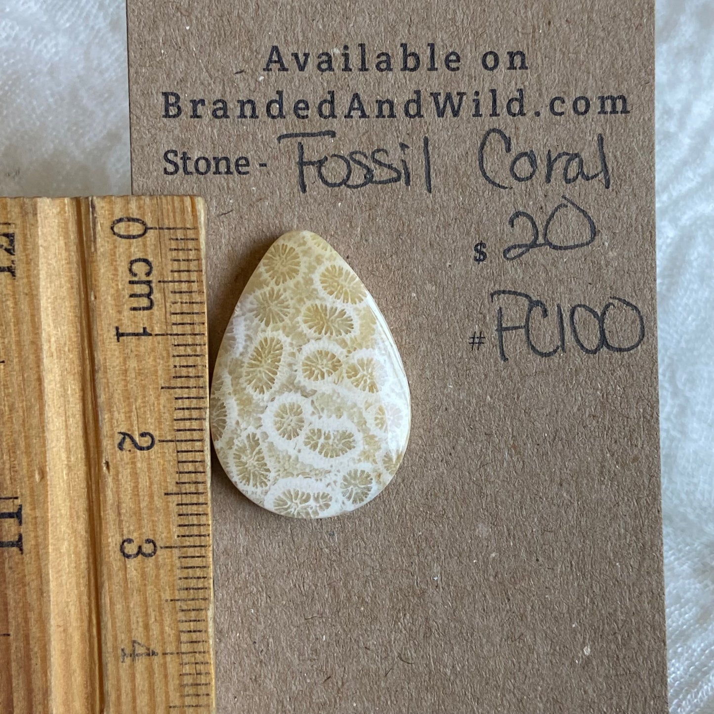 Fossil Coral Cabochon - FC100