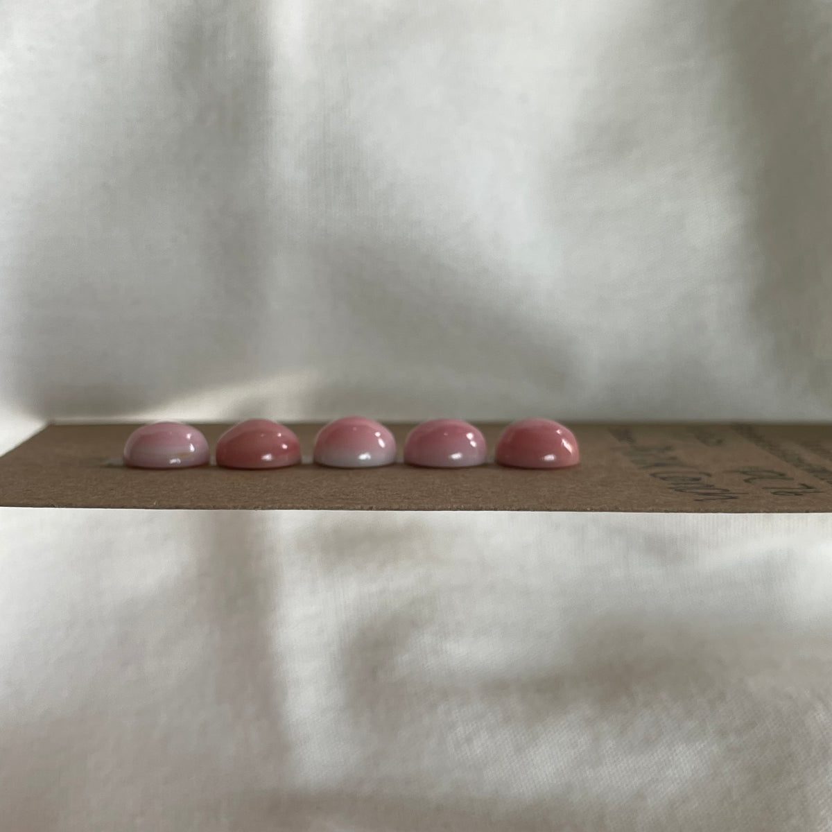 Pink Conch Cabochon - PC76 6996D1D2-EBB1-4C56-88CE-7EF4769AE89C Brandedandwild.com