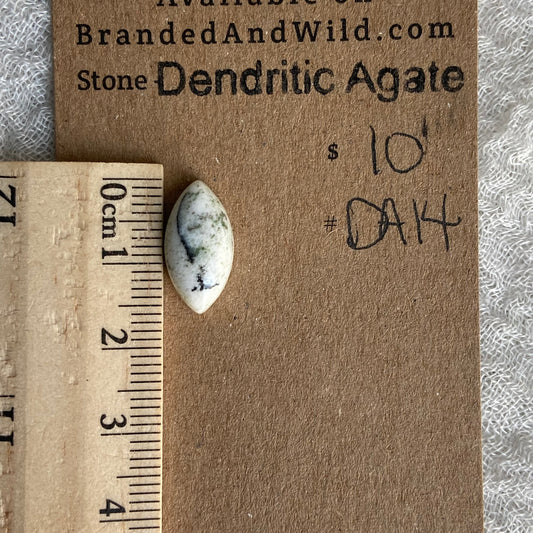 Dendritic Agate Cabochon - DA14