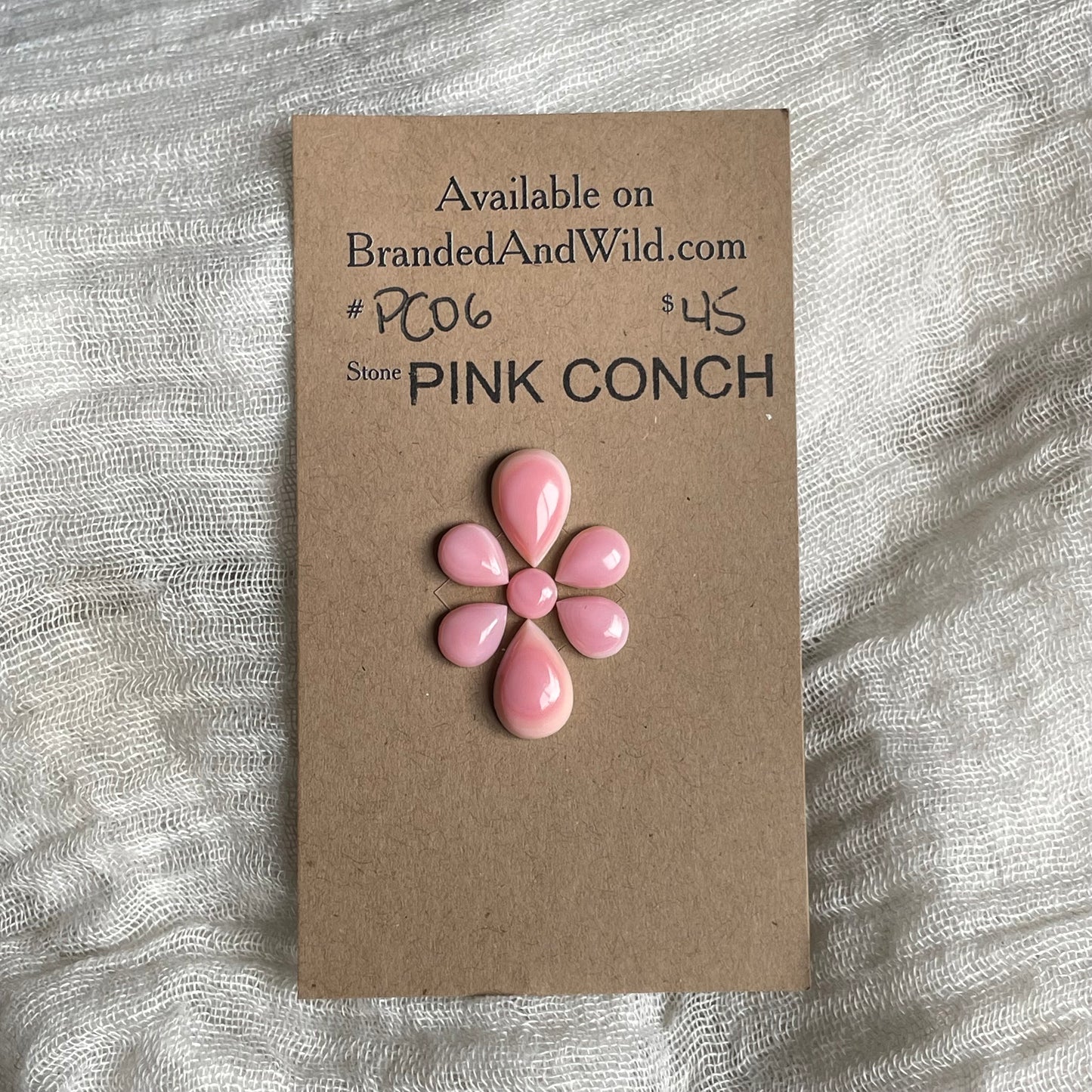 Pink Conch Cabochon - PC06 699E3A69-9A02-4969-9DC9-615ACCEF44B7 Brandedandwild.com