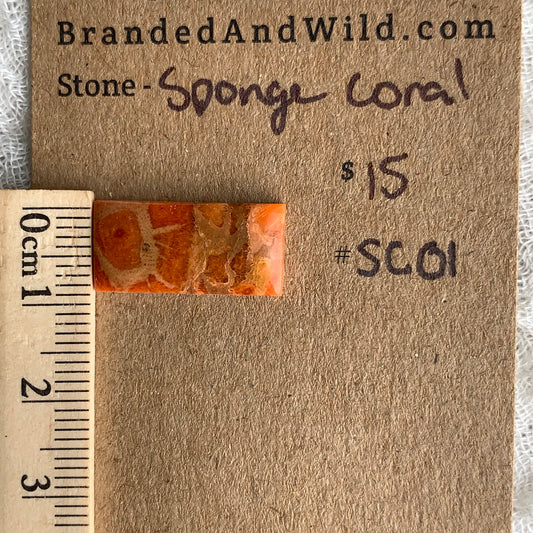 Sponge Coral Cabochon - SC01