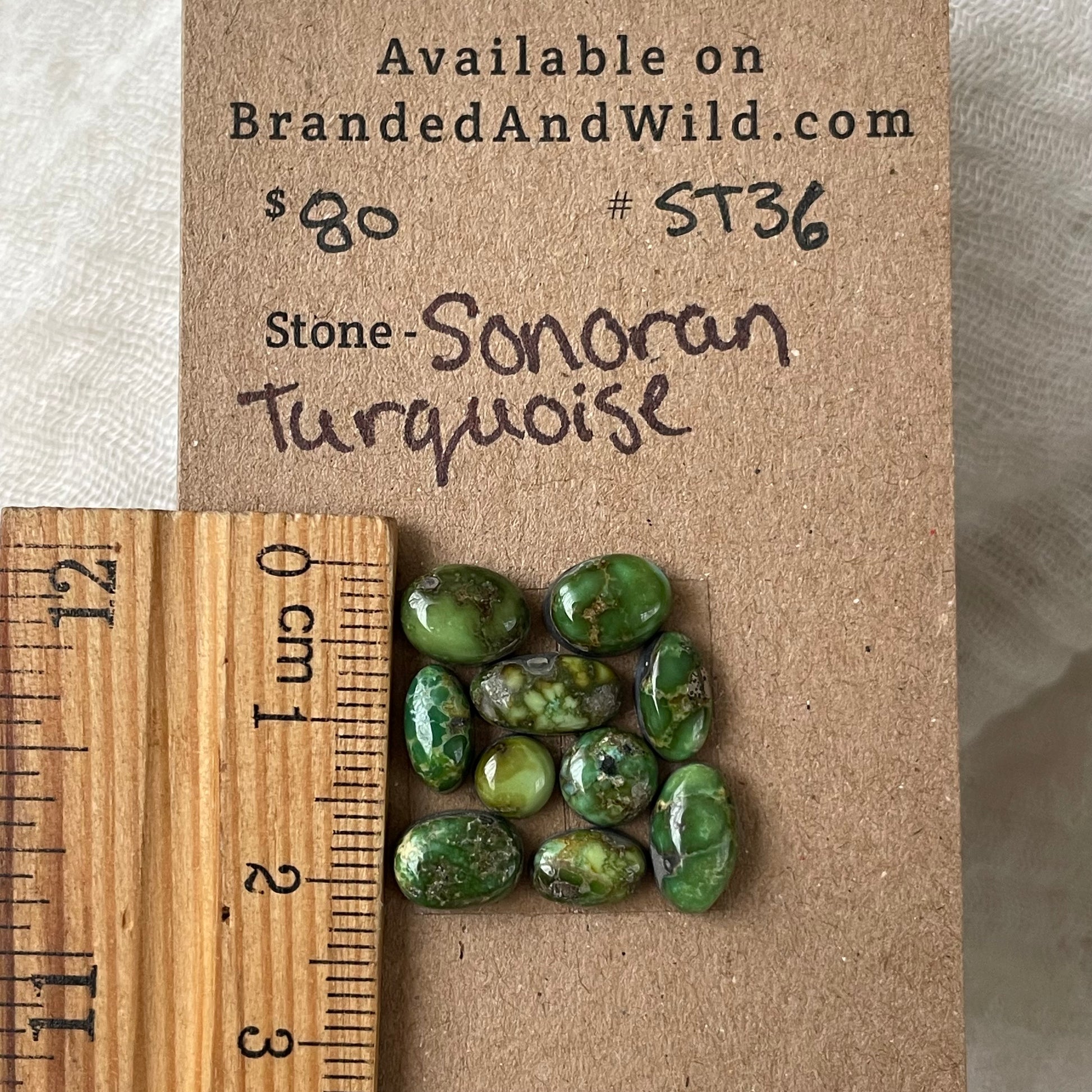 Sonoran Turquoise Cabochon - ST36 69ADE5CA-AB2C-4DEE-8717-01436B1F0668 Brandedandwild.com