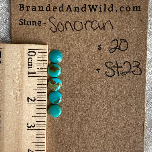 Sonoran Turquoise Cabochon - ST23