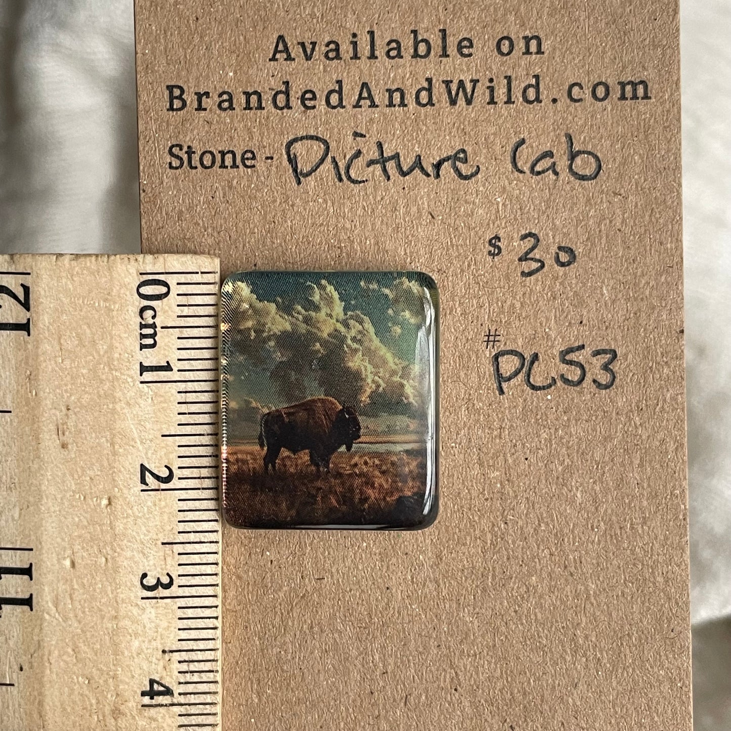 Picture Cabochon - Cabochon - PC53 69BA9094-63FD-49D1-8D4A-38734A797FC8 Brandedandwild.com