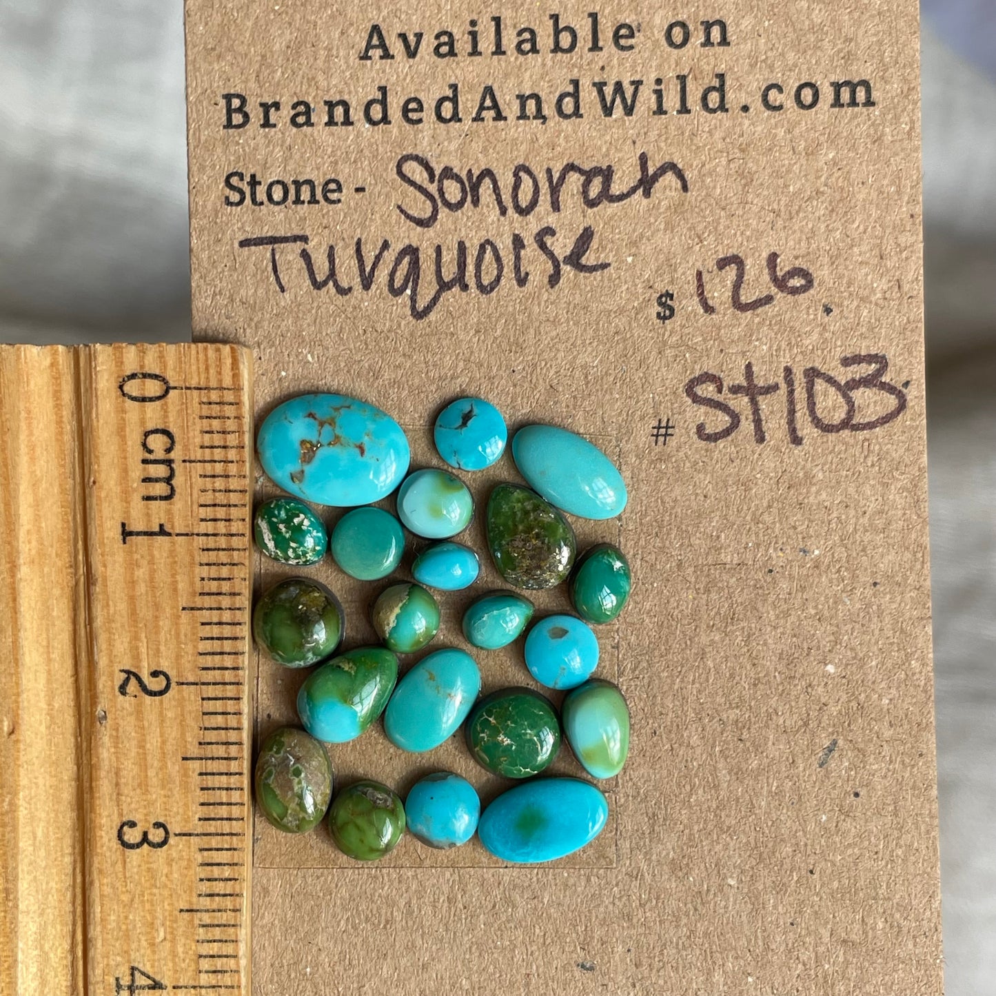 Sonoran Turquoise Cabochon - ST103