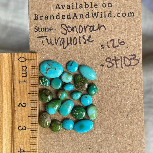 Sonoran Turquoise Cabochon - ST103