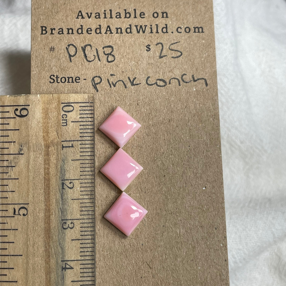 Pink Conch Cabochon - PC18 69EB3BA2-66E6-42A9-87C8-0574049FC62E Brandedandwild.com