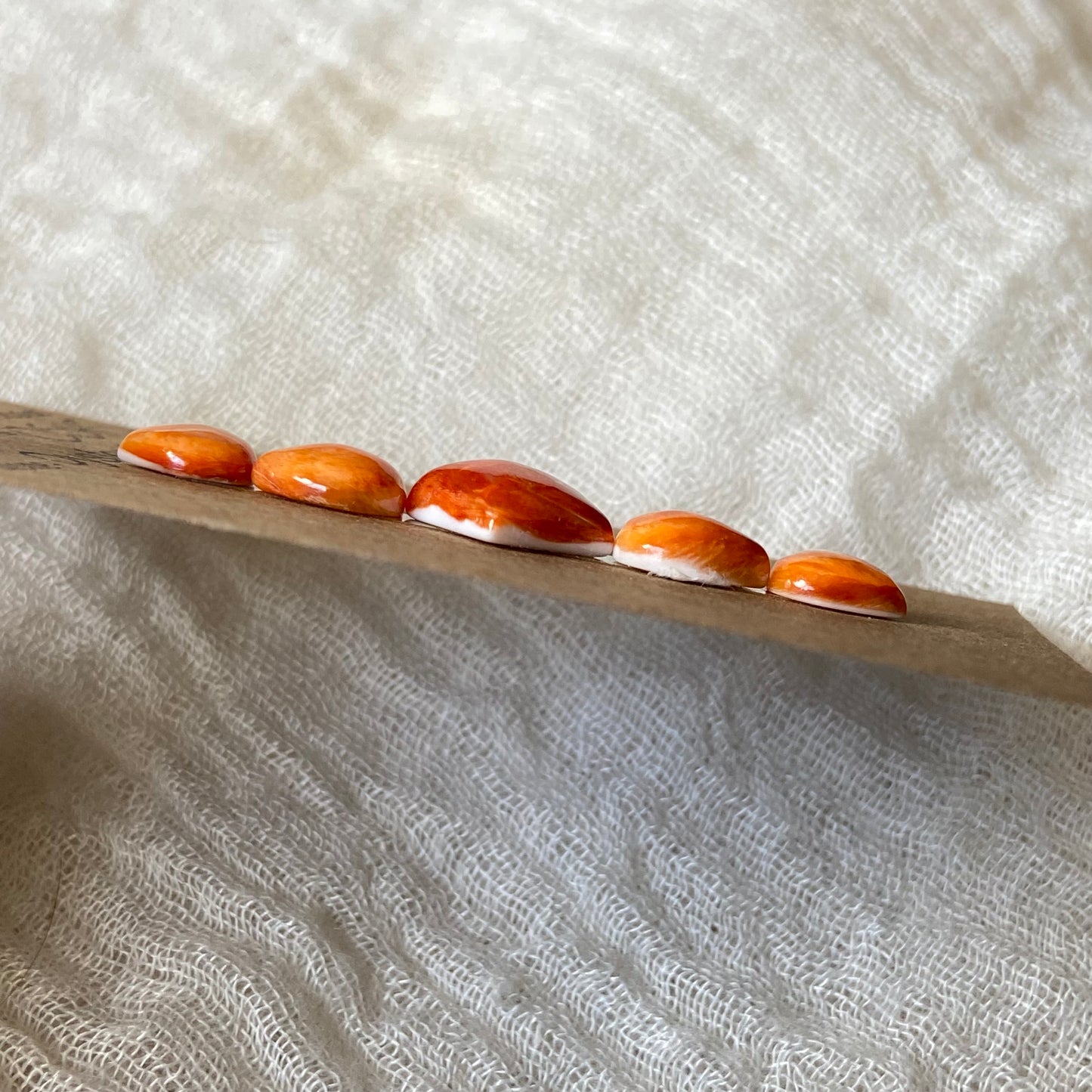 Oystershell Cabochon - OS45 69F8BE93-2769-4F4F-8081-DB78F9A628E4 Brandedandwild.com