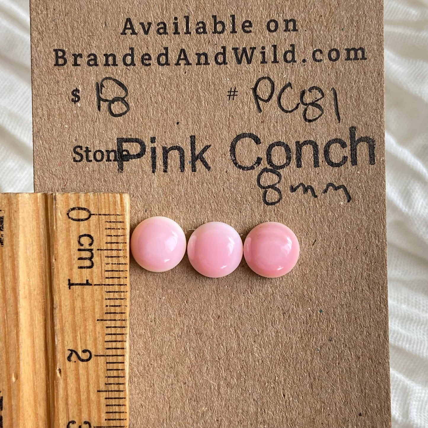 Pink Conch Cabochon - PC81