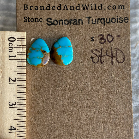 Sonoran Turquoise Cabochon - ST40