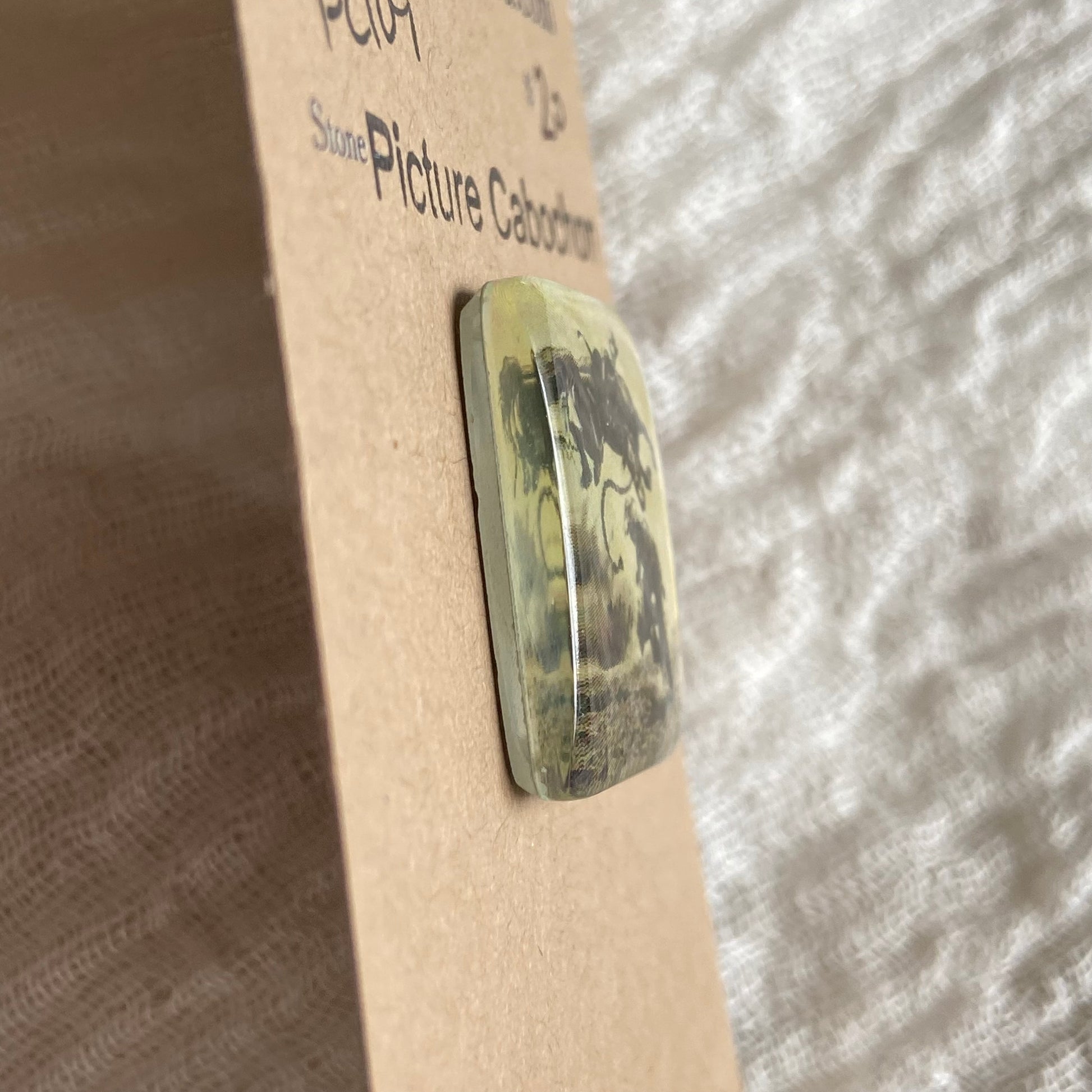 Picture Cabochon - Cabochon - PC59 6A553A50-B78E-49DF-85CF-E9B5962AA7EE Brandedandwild.com