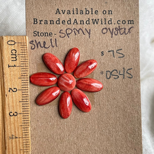 Spiny Oyster Shell Cabochon - OS45 6A5C2D66-4568-48C2-A93E-58B21D170A17 Brandedandwild.com