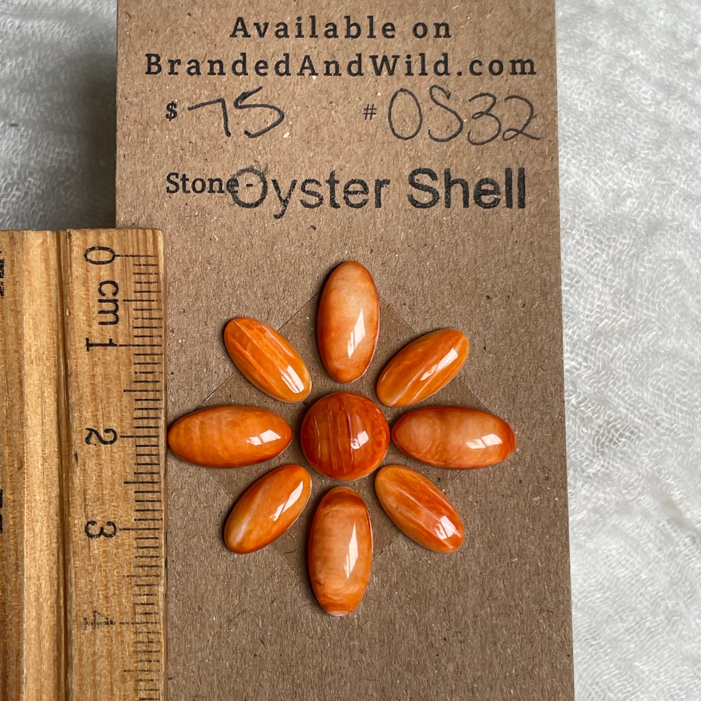 Oyster Shell Cabochon - OS32