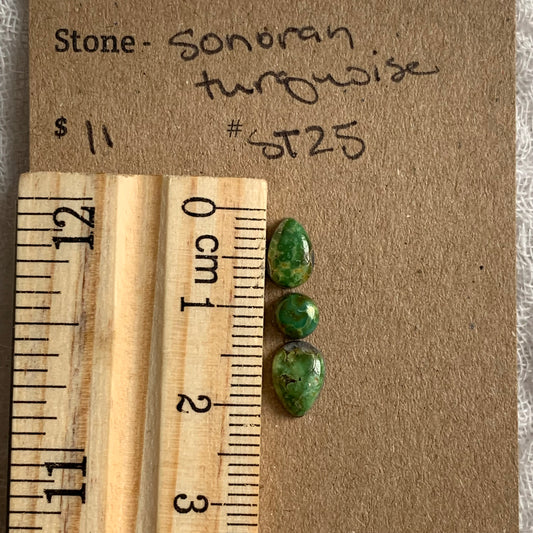 Sonoran Turquoise Cabochon - WH25