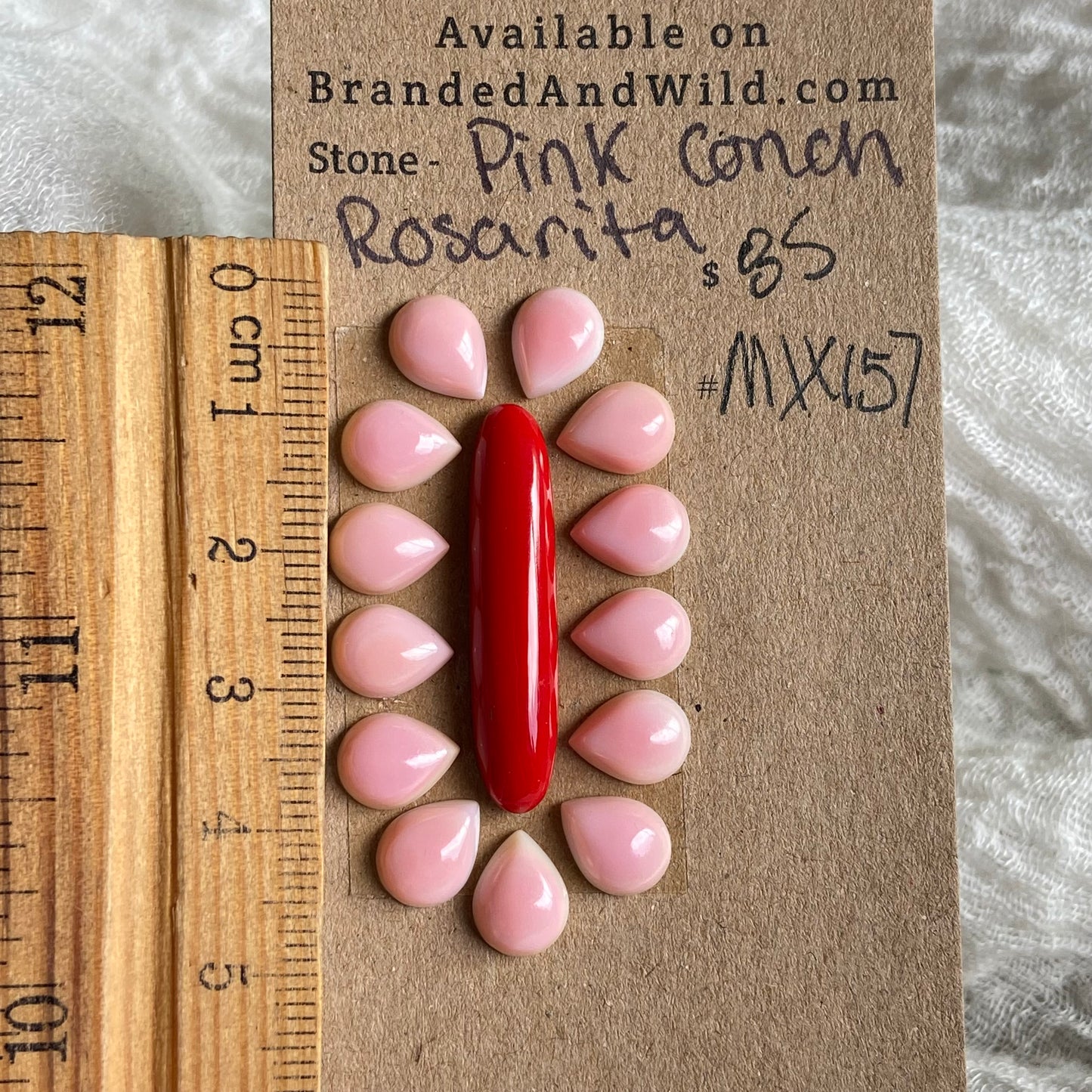 Rosarita / Pink Conch Cabochon - Mix157 6ACB90C2-0D5D-43D8-A874-07E4484337DA Brandedandwild.com