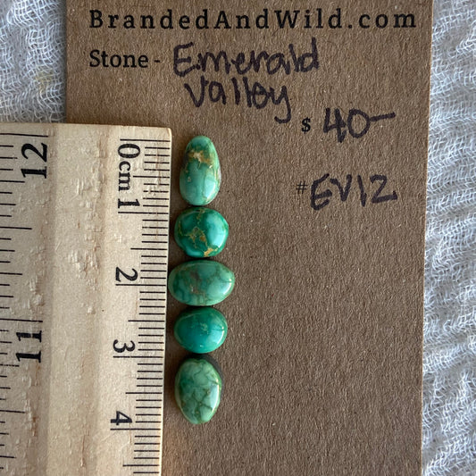 Emerald Valley Turquoise Cabochon - EV12