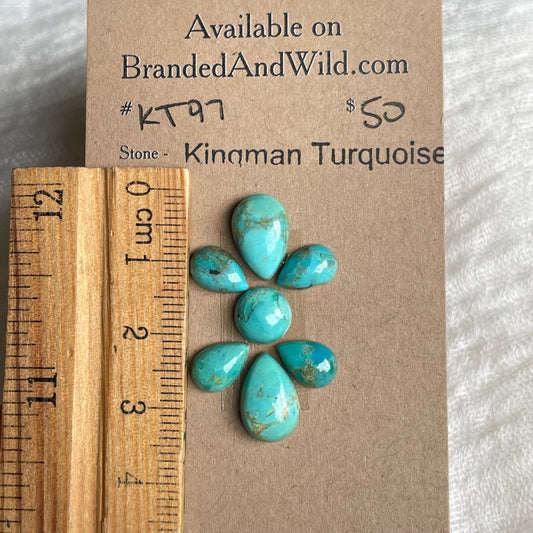Kingman Turquoise Cabochon - KT97 6AF56E59-4CDF-4851-B398-19DE6ABA10AB Brandedandwild.com