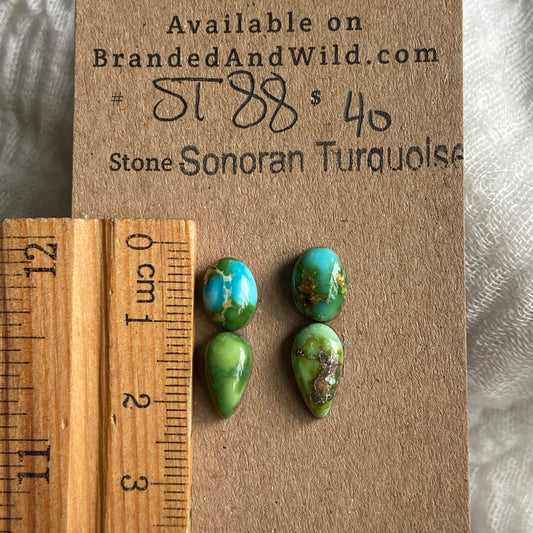 Sonoran Turquoise Cabochon - ST88 6B2B4F16-A906-4F8E-9ACE-AC412CCA5531 Brandedandwild.com