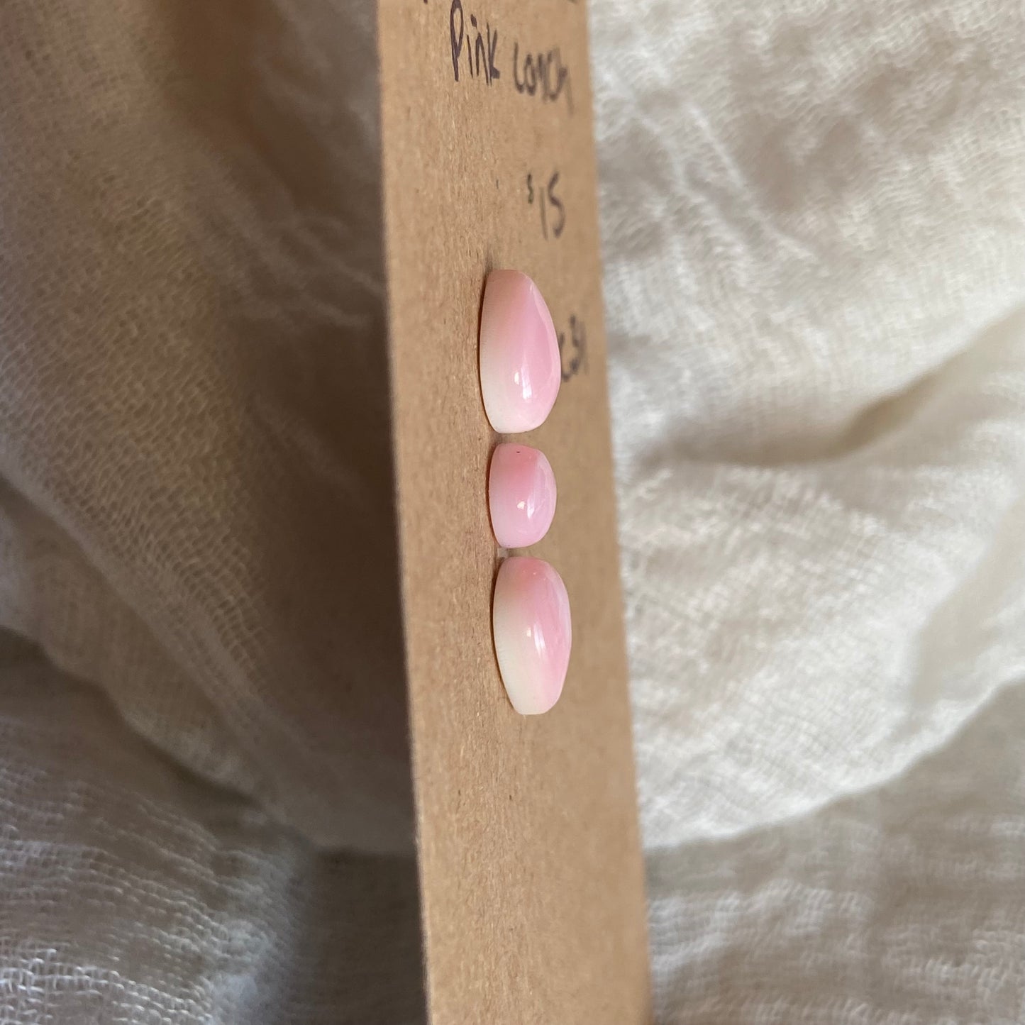 Pink Conch Cabochon - PC31