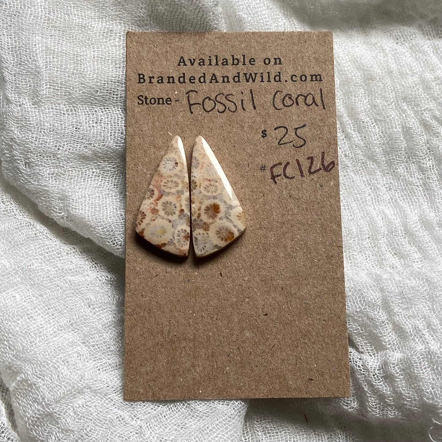 Fossil Coral Cabochon - FC126