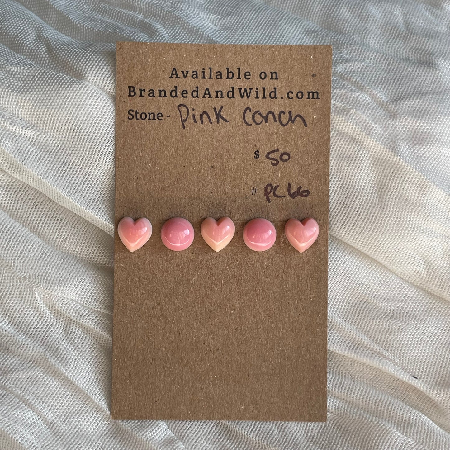 Pink Conch Cabochon - PC66 6B56DDC0-59B6-45FC-805D-542CC3D9B823 Brandedandwild.com