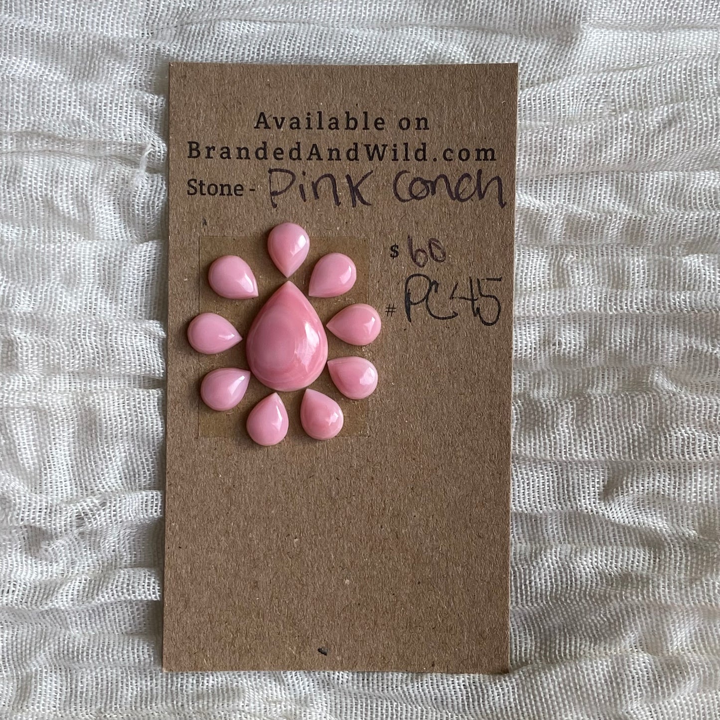 Pink Conch Cabochon - PC45 6B673F97-EEDD-4E0C-9287-AEAA7DE04790 Brandedandwild.com