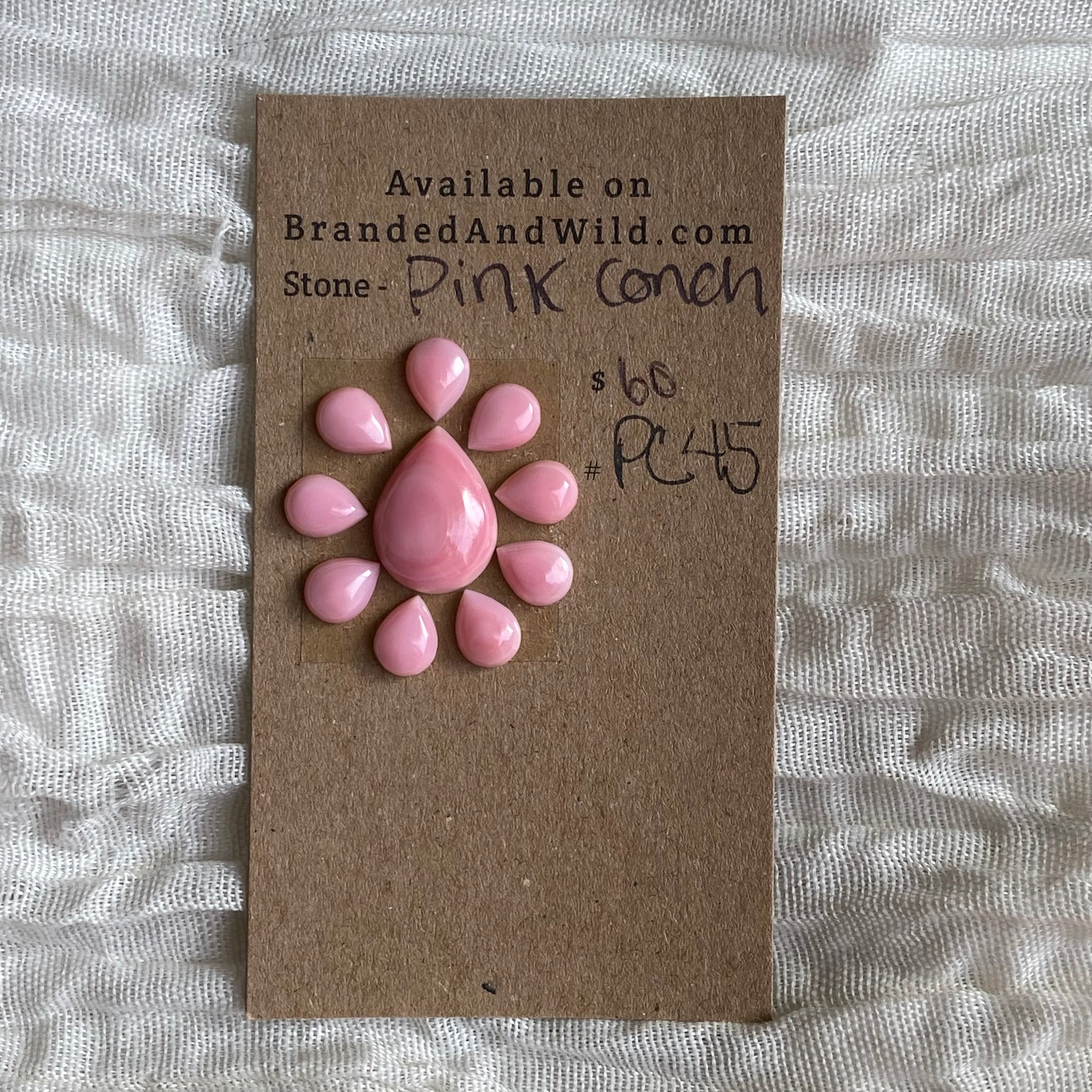 Pink Conch Cabochon - PC45 6B673F97-EEDD-4E0C-9287-AEAA7DE04790 Brandedandwild.com