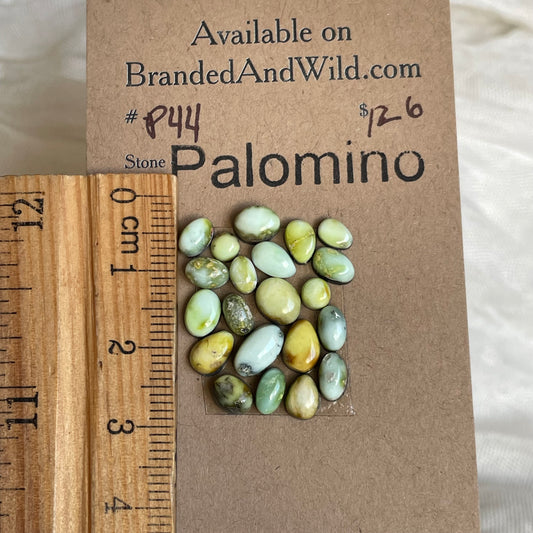 Palomino Cabochon - P44 6B9EC63D-252A-4172-BC8A-7DE9C3F9FD78 Brandedandwild.com