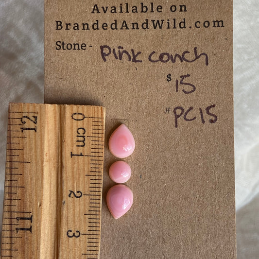 Pink Conch Cabochon - PC15