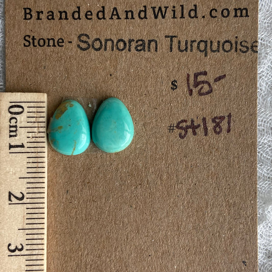 Sonoran Turquoise Cabochon - ST181