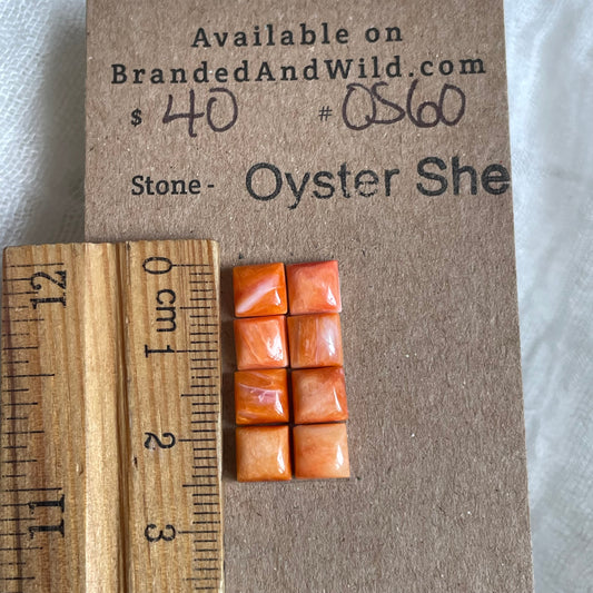 Oyster Shell Cabochon - OS60 6BFBE300-A8B7-43DD-8A34-7323CE4BAE60 Brandedandwild.com