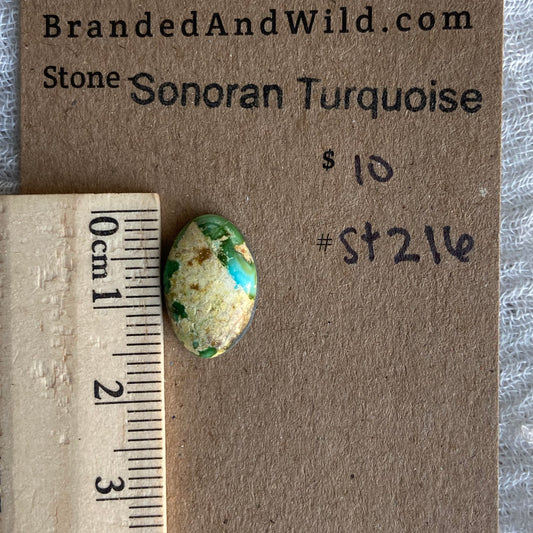 Sonoran Turquoise Cabochon - ST216