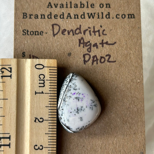 Dendritic Agate Cabochon - DA02