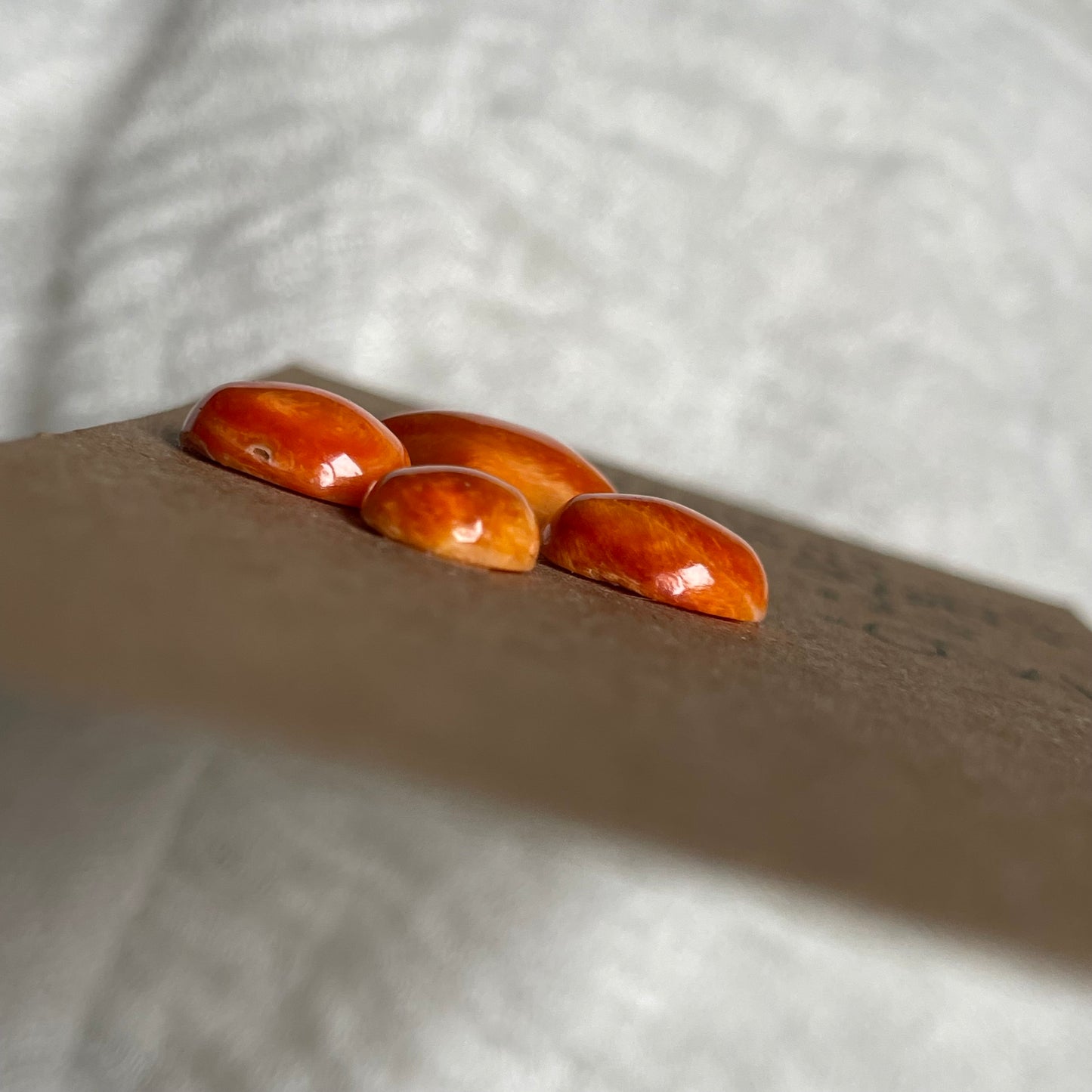 Oyster Shell Cabochon - OS41